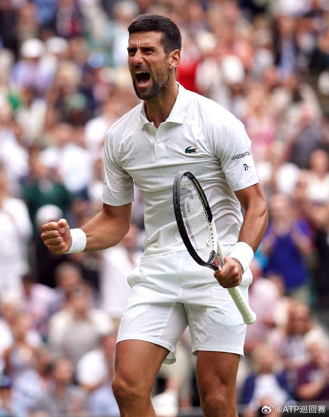 他的加盟可 他的加盟可