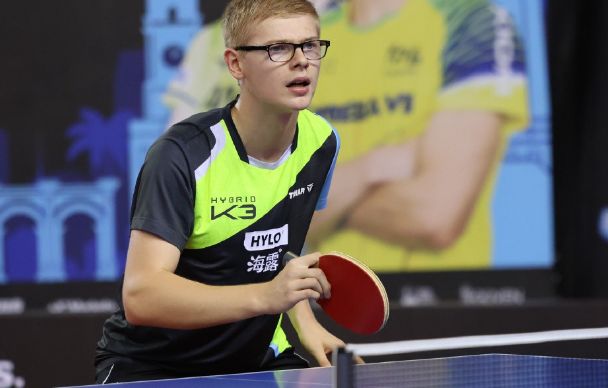 球迷的喜爱 球迷的喜爱